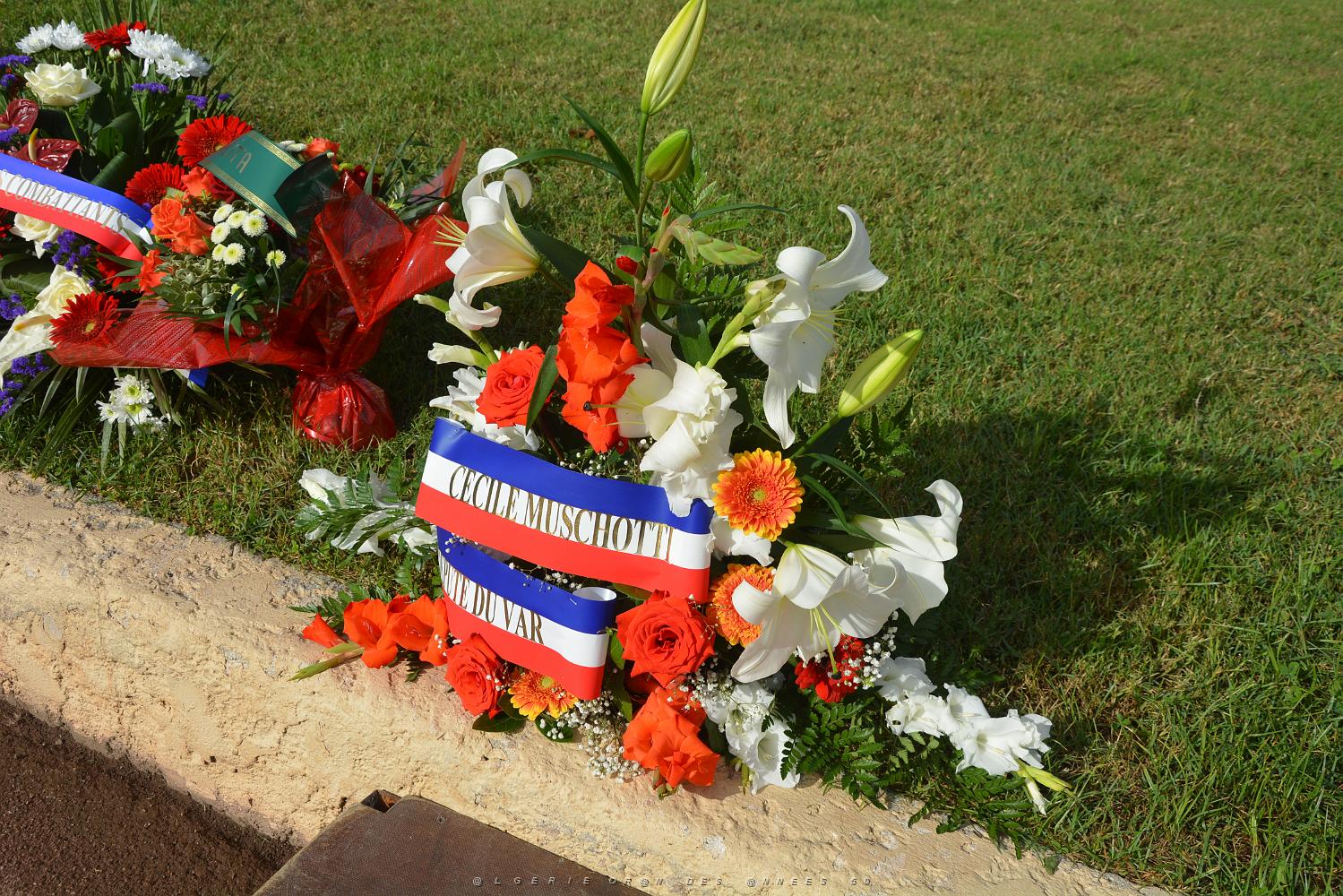 2018 09 25 TOULON HOMMAGE NATIONAL CONSACRE AUX HARKIS (10).JPG